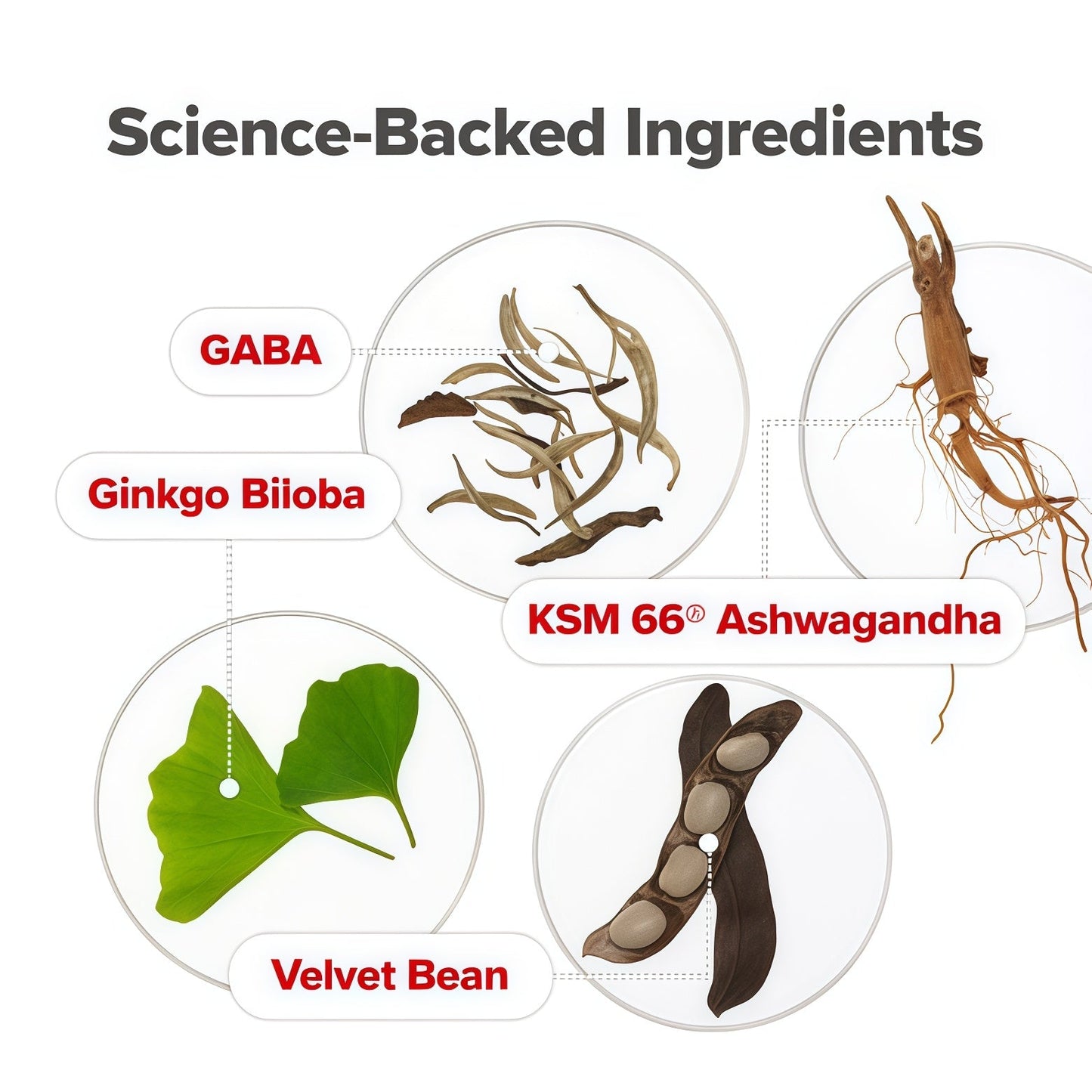 O Positiv URO Vaginal Moisture & Mood